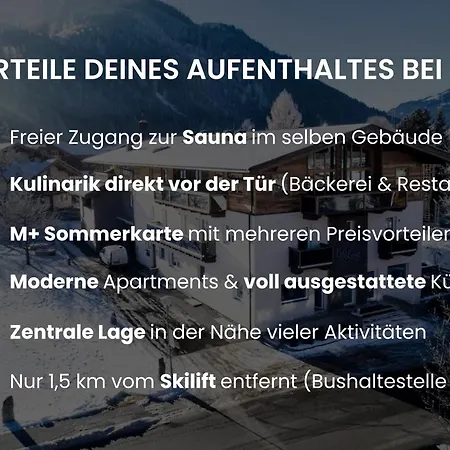 Apartment Ours Living Venedigerblick - Inkl Sauna Und Sommerkarte Hollersbach im Pinzgau